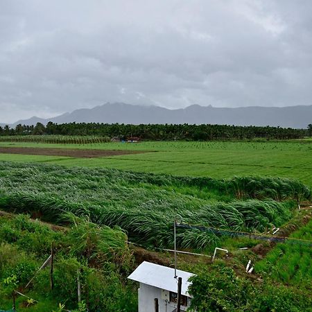 Lakshmi Illam Near Isha Yoga Adiyogi Apartment Alandurai Ngoại thất bức ảnh