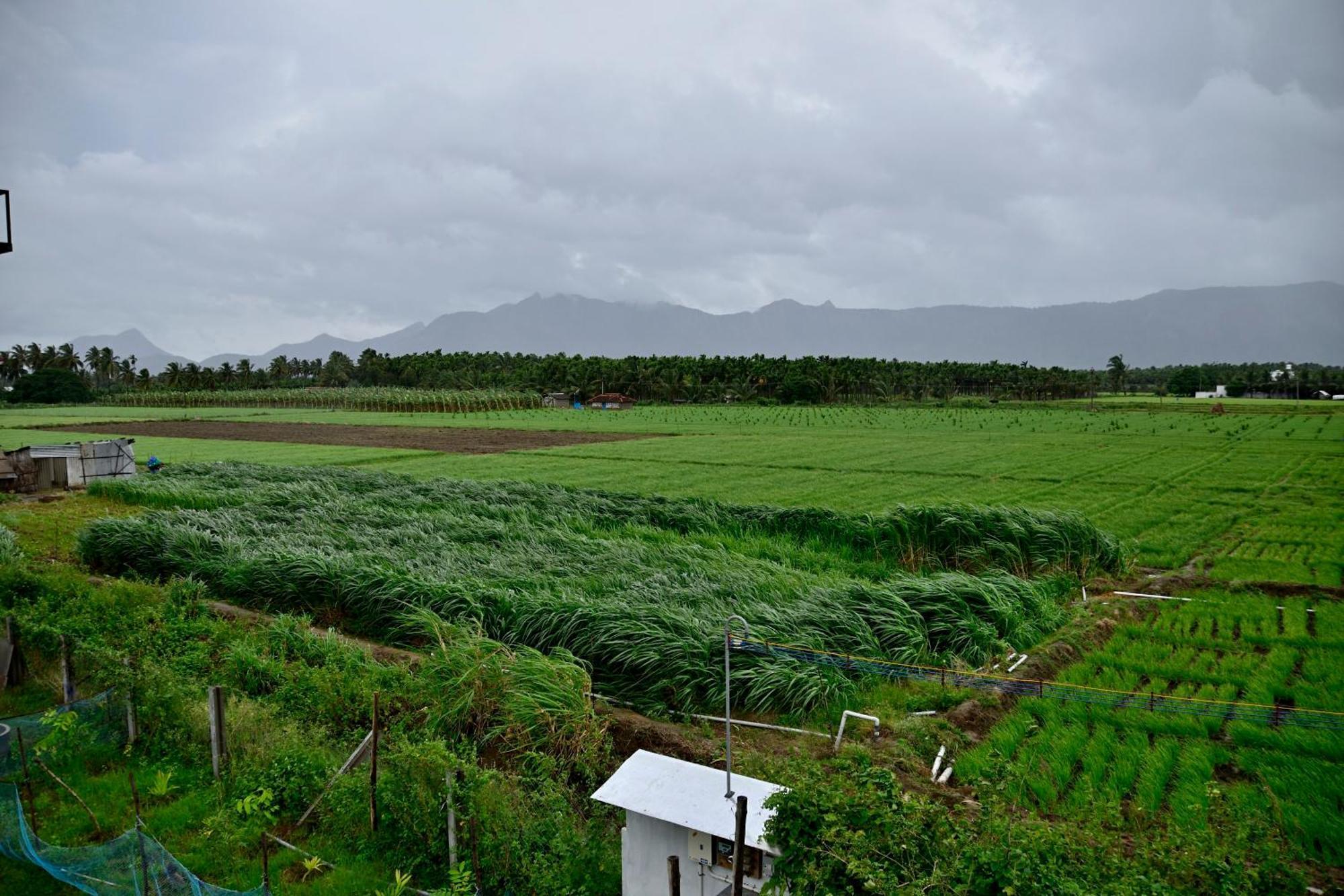 Lakshmi Illam Near Isha Yoga Adiyogi Apartment Alandurai Ngoại thất bức ảnh